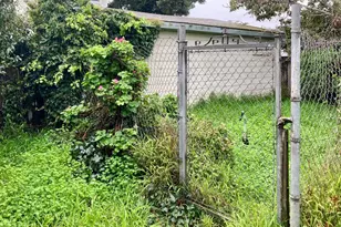 413 Milton Ave, San Bruno, CA 94066 - Photo 33