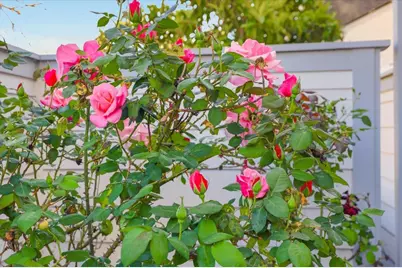 23 Binnacle Ln, Foster City, CA 94404 - Photo 71