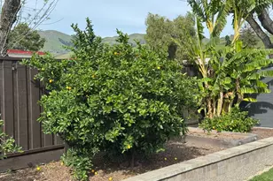 1647 Jupiter Dr, Milpitas, CA 95035 - Photo 33