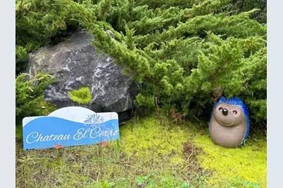 19350 El Cerro, Aromas, CA 95004 - Photo 23