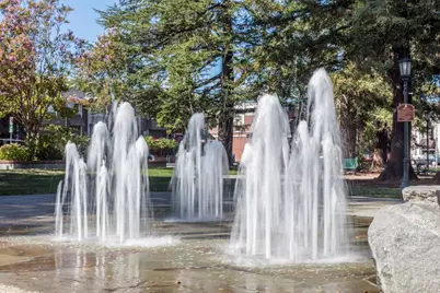 Oak Meadow Dr, Los Gatos, CA 95032 - Photo 59