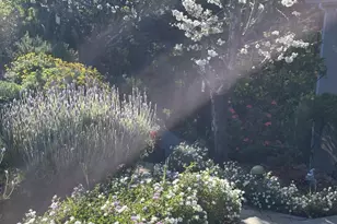 2506 Ralston Ave, Belmont, CA 94002 - Photo 71