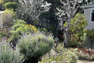 2506 Ralston Ave, Belmont, CA 94002 - Photo 69