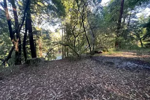 559 Patrol Rd, Woodside, CA 94062 - Photo 1
