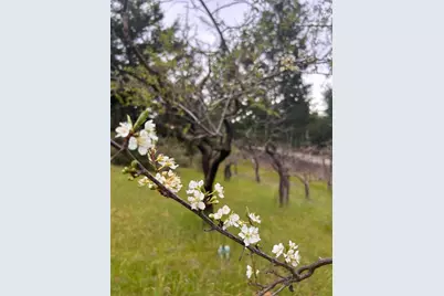 125 McGivern Way, Santa Cruz, CA 95060 - Photo 41