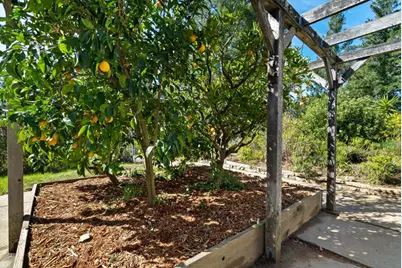 125 McGivern Way, Santa Cruz, CA 95060 - Photo 29