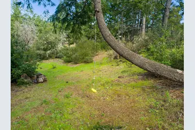 125 McGivern Way, Santa Cruz, CA 95060 - Photo 39