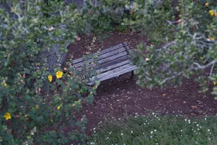 28 Elk Run, Monterey, CA 93940 - Photo 39