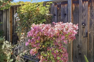 2242 Cabrillo Ave, Santa Clara, CA 95050 - Photo 55