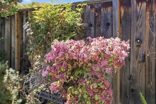 2242 Cabrillo Ave, Santa Clara, CA 95050 - Photo 55