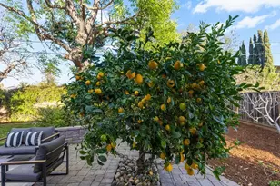 1484 Kingfisher Way, Sunnyvale, CA 94087 - Photo 61