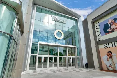 1555 Calaveras Ave, San Jose, CA 95126 - Photo 91