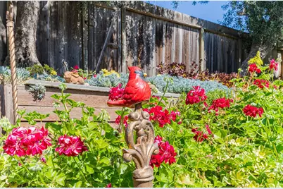 58 Young Dr, Salinas, CA 93901 - Photo 41