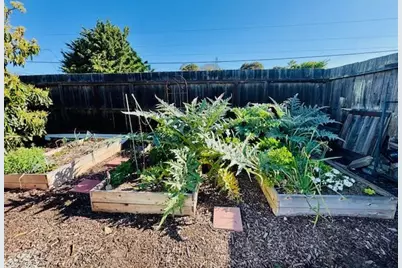 1639 Cypress Ave, San Mateo, CA 94401 - Photo 31