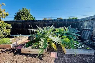 1639 Cypress Ave, San Mateo, CA 94401 - Photo 31