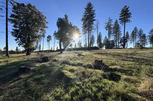 12168 Granite Ridge Rd, Oroville, CA 95965 - Photo 5