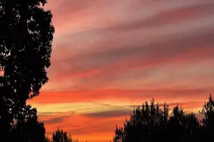 8799 Grape Wagon Cir, San Jose, CA 95135 - Photo 25