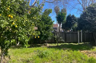 516 Bird Ave., San Jose, CA 95125 - Photo 3