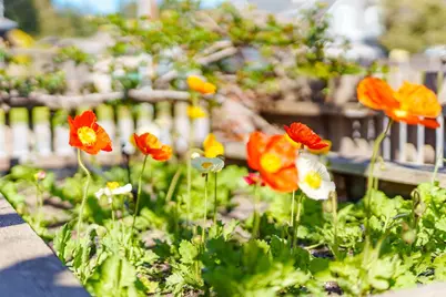 214 Fairmount Ave, Santa Cruz, CA 95062 - Photo 97