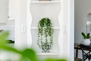 214 Fairmount Ave, Santa Cruz, CA 95062 - Photo 35