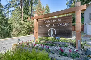 41 Grandview Ave, Felton, CA 95018 - Photo 23