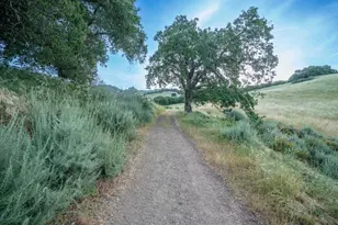 8750 McCarty Ranch Dr, San Jose, CA 95135 - Photo 53