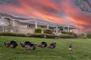 8750 McCarty Ranch Dr, San Jose, CA 95135 - Photo 57