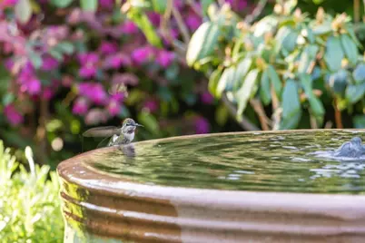 311 Linfield Dr, Menlo Park, CA 94025 - Photo 5