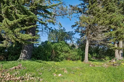 38 Wilshire Ave, Daly City, CA 94015 - Photo 41