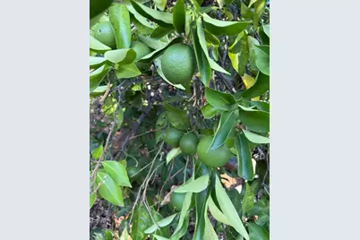 24854 Skyland Rd, Los Gatos, CA 95033 - Photo 71