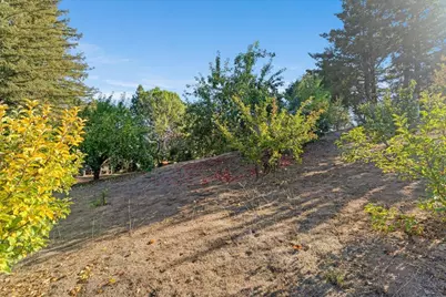 24854 Skyland Rd, Los Gatos, CA 95033 - Photo 49