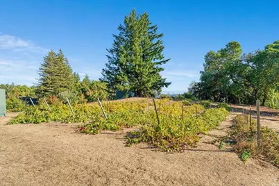 24854 Skyland Rd, Los Gatos, CA 95033 - Photo 53