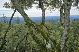 24854 Skyland Rd, Los Gatos, CA 95033 - Photo 67