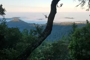 24854 Skyland Rd, Los Gatos, CA 95033 - Photo 63