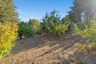 24854 Skyland Rd, Los Gatos, CA 95033 - Photo 53