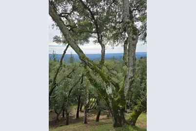 24854 Skyland Rd, Los Gatos, CA 95033 - Photo 59