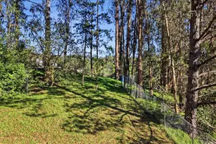 5 Arriba Dr, Aromas, CA 95004 - Photo 59