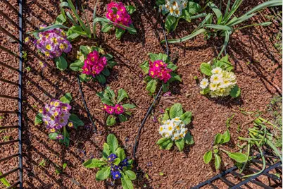 1452 La Crosse Dr, Sunnyvale, CA 94087 - Photo 47