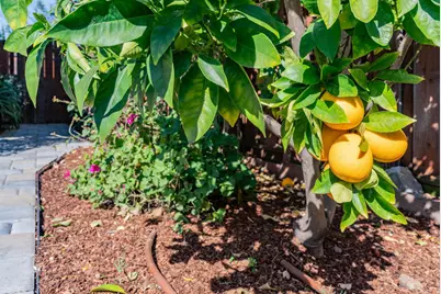 1452 La Crosse Dr, Sunnyvale, CA 94087 - Photo 49