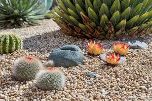 217 Edinburgh Ave, Monterey, CA 93940 - Photo 5