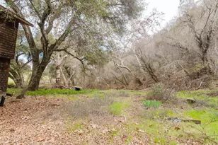 54101 Pine Canyon Rd, King City, CA 93930 - Photo 9