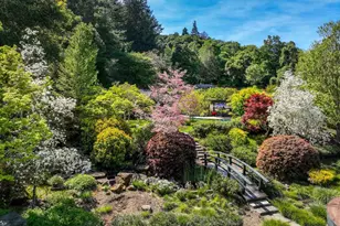 160 Phillip Rd, Woodside, CA 94062 - Photo 49