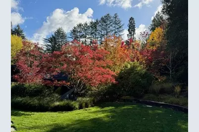 160 Phillip Rd, Woodside, CA 94062 - Photo 45