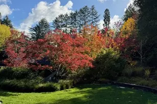 160 Phillip Rd, Woodside, CA 94062 - Photo 45