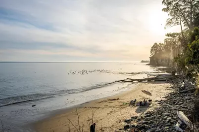 100 N Rodeo Gulch Rd 74, Soquel, CA 95073 - Photo 3