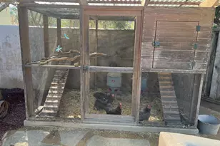 1136 Eagle Cliff Ct, San Jose, CA 95120 - Photo 39