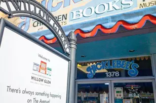 531 Brooks Ave, San Jose, CA 95125 - Photo 63