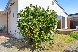 6225 Gunter Way, San Jose, CA 95123 - Photo 25