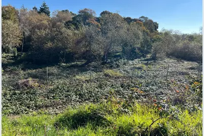 91 Alta Vista Ave, Watsonville, CA 95076 - Photo 5