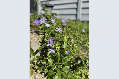 354 San Miguel Canyon Rd, Royal Oaks, CA 95076 - Photo 17